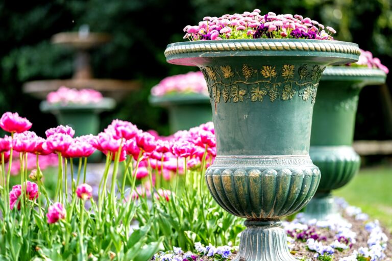 Entretien du jardin : profiter du crédit d&rsquo;impôt de 50 %