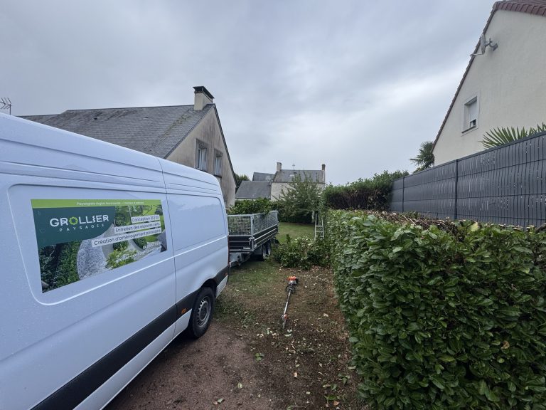 Entretien de haies à LAIZE-CLINCHAMPS